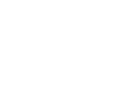 Car #11